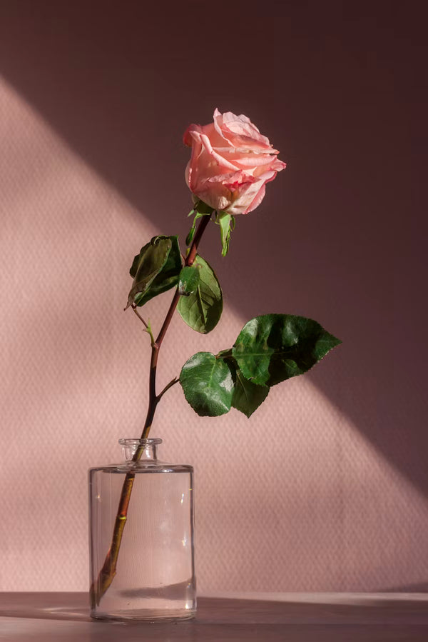 Rose Water