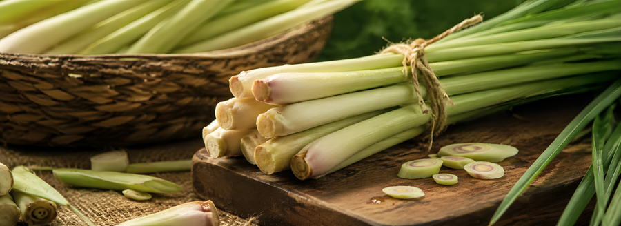 Lemongrass — the signature freshness that works